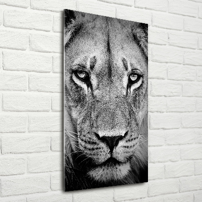 Tableau photo sur verre Portrait de lion