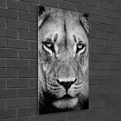 Tableau photo sur verre Portrait de lion