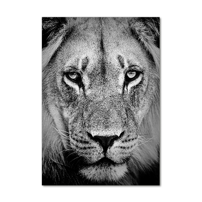 Tableau photo sur verre Portrait de lion