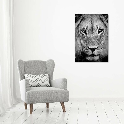 Tableau photo sur verre Portrait de lion