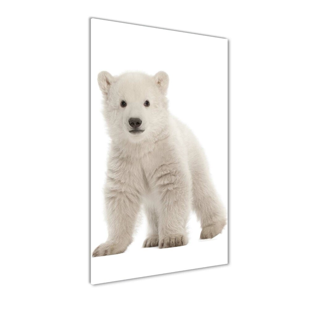 Tableau photo sur verre Ours polaire