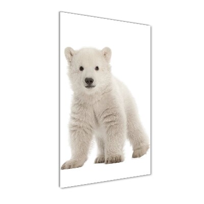 Tableau photo sur verre Ours polaire