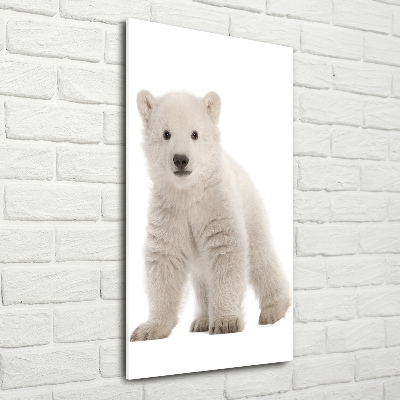 Tableau photo sur verre Ours polaire