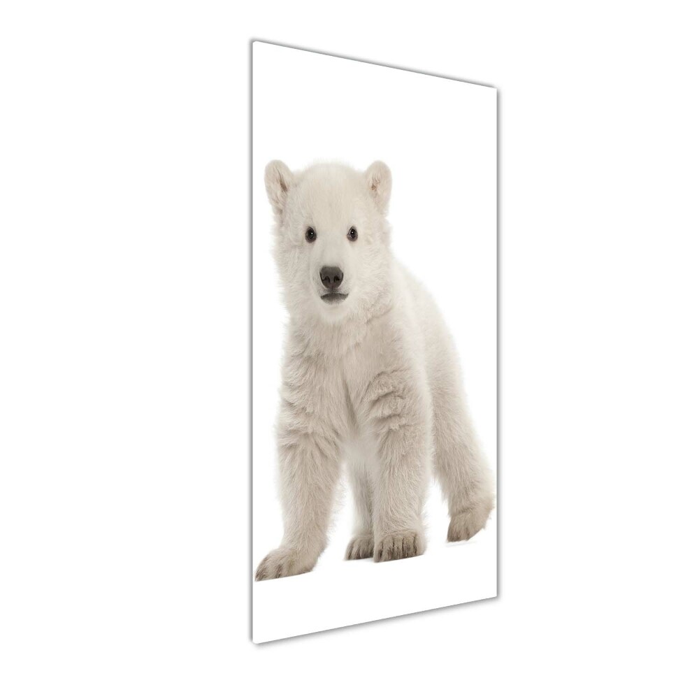 Tableau photo sur verre Ours polaire