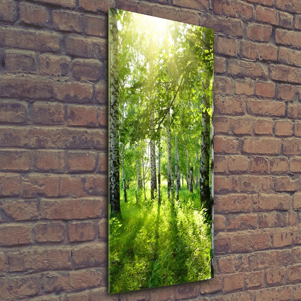 Tableau verre imprimé Forêt bouleau