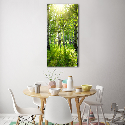 Tableau verre imprimé Forêt bouleau