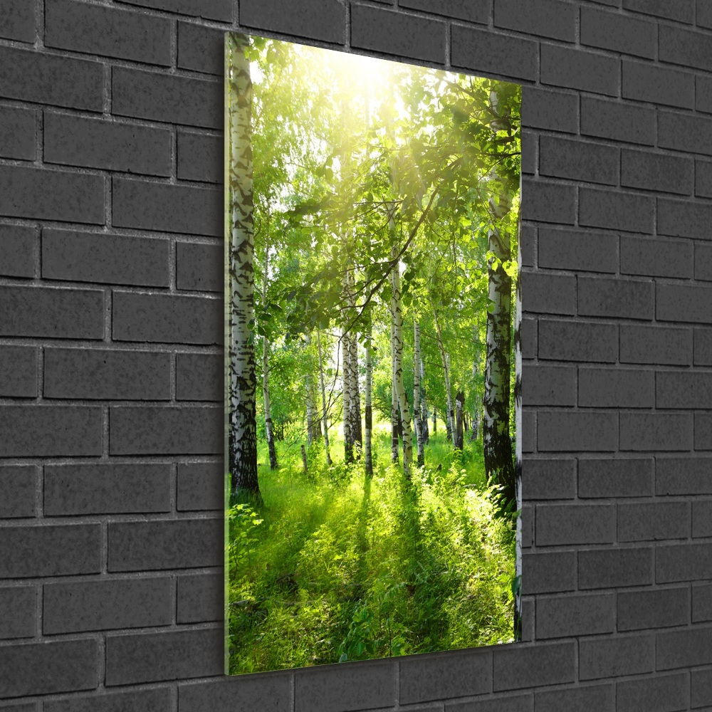 Tableau verre imprimé Forêt bouleau