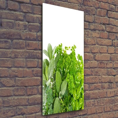 Tableau photo sur verre Herbes aromatiques