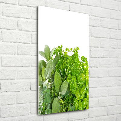 Tableau photo sur verre Herbes aromatiques