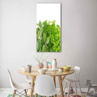 Tableau photo sur verre Herbes aromatiques