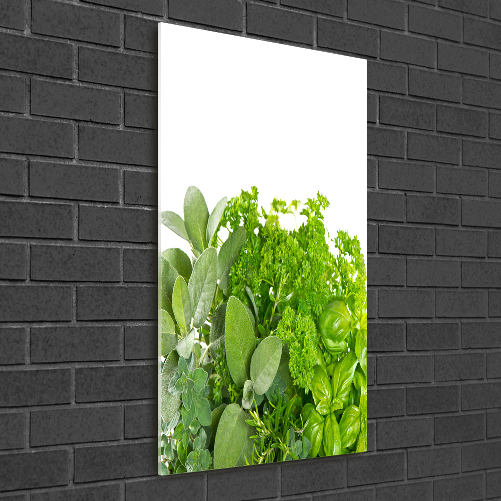 Tableau photo sur verre Herbes aromatiques