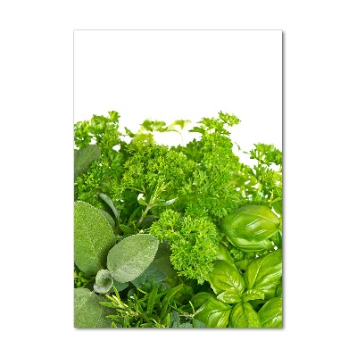 Tableau photo sur verre Herbes aromatiques