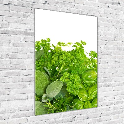 Tableau photo sur verre Herbes aromatiques