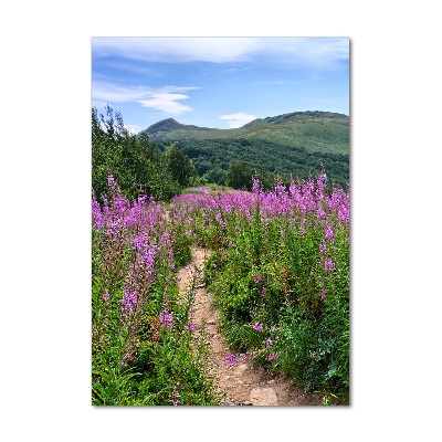 Tableau imprimé sur verre Bieszczady