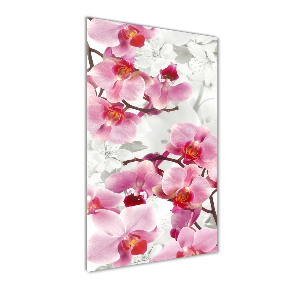 Tableau imprimé sur verre Orchidée rose fleur