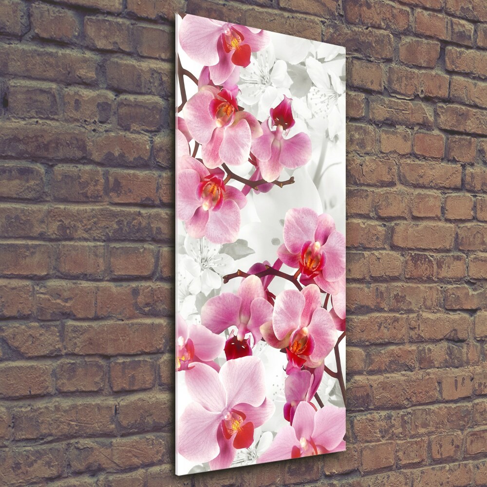 Tableau imprimé sur verre Orchidée rose fleur