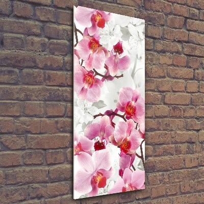 Tableau imprimé sur verre Orchidée rose fleur