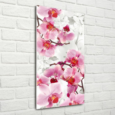 Tableau imprimé sur verre Orchidée rose fleur