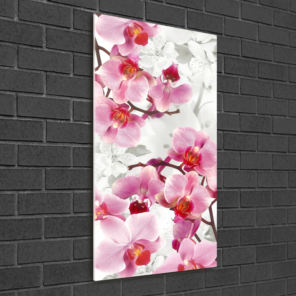 Tableau imprimé sur verre Orchidée rose fleur