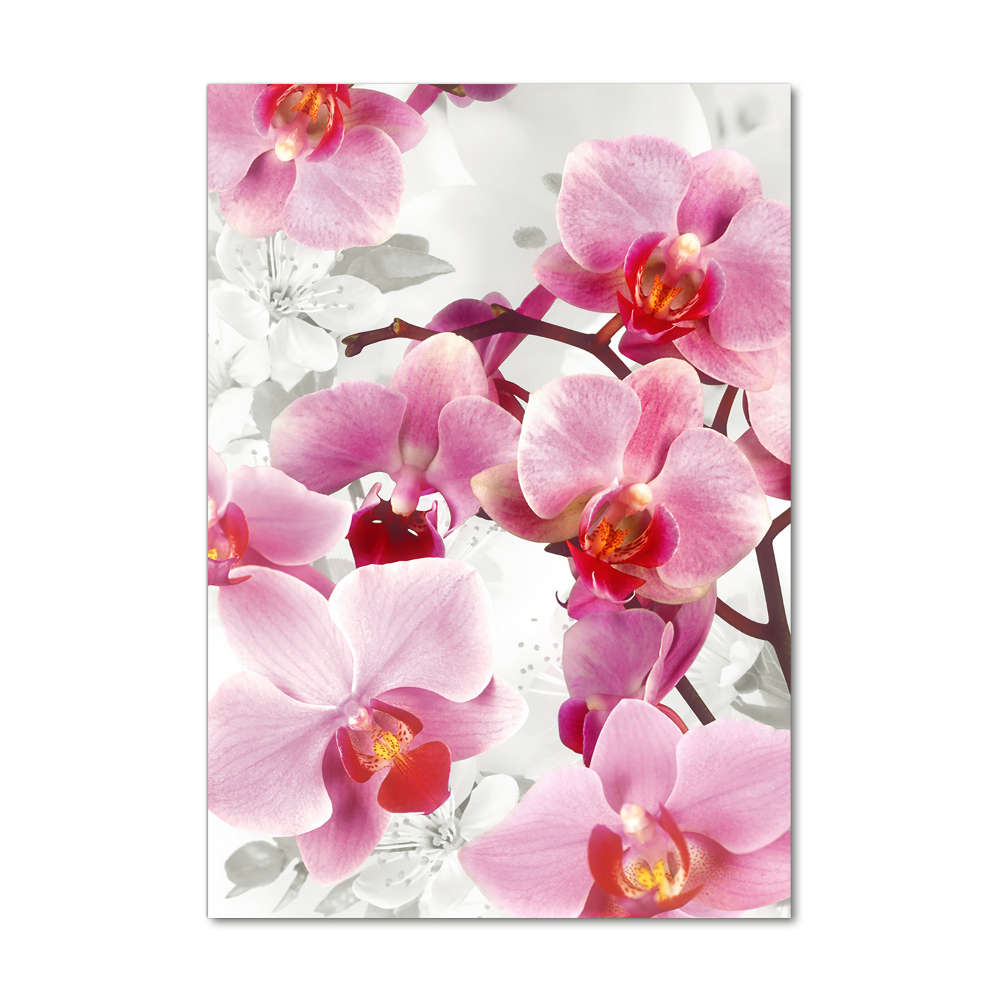 Tableau imprimé sur verre Orchidée rose fleur