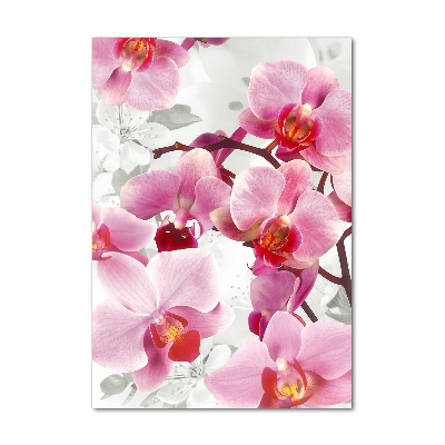 Tableau imprimé sur verre Orchidée rose fleur