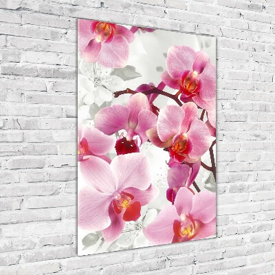 Tableau imprimé sur verre Orchidée rose fleur