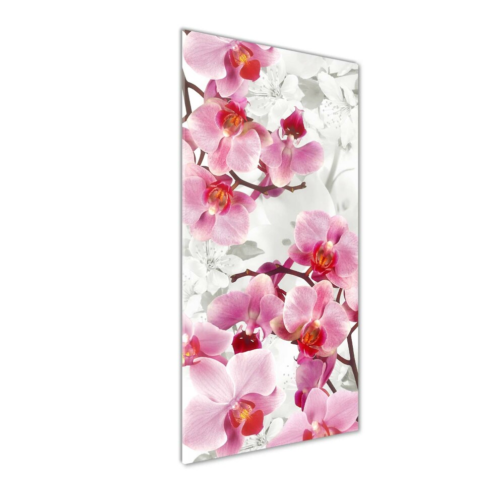 Tableau imprimé sur verre Orchidée rose fleur