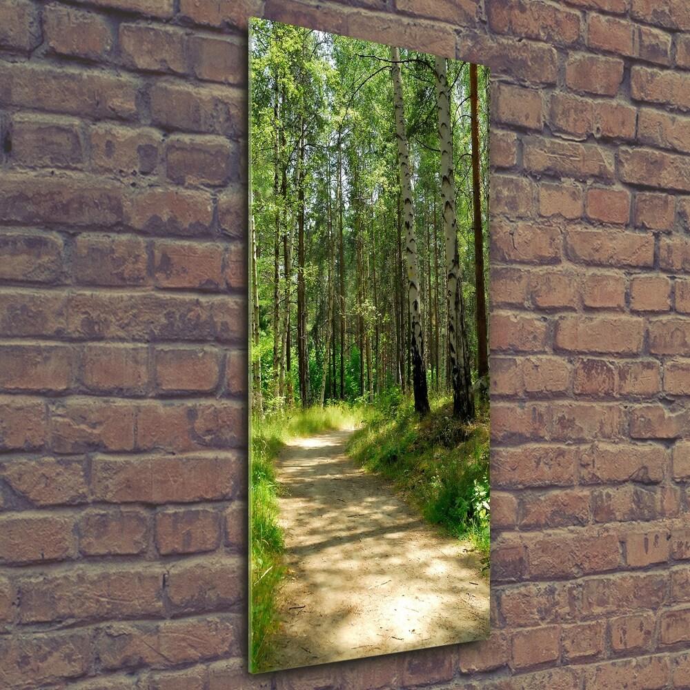 Tableau verre imprimé Forêt de bouleaux