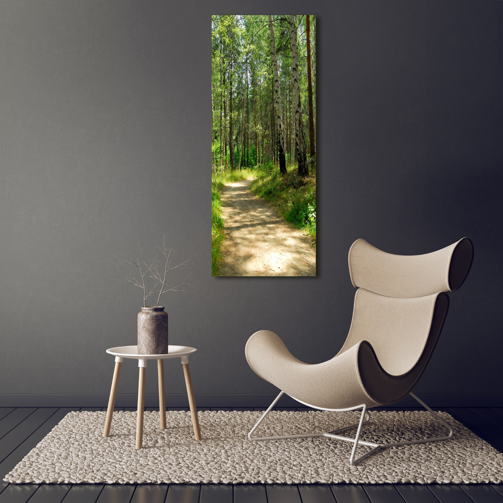 Tableau verre imprimé Forêt de bouleaux