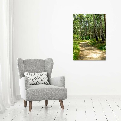 Tableau verre imprimé Forêt de bouleaux