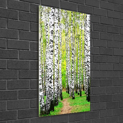 Tableau photo sur verre Forêt de bouleaux