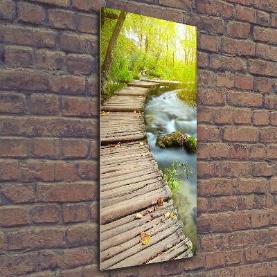 Tableau en verre Chemin dans la forêt