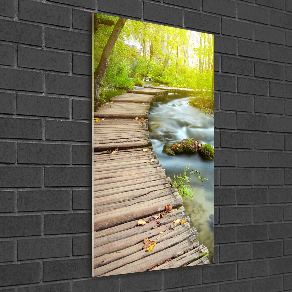 Tableau en verre Chemin dans la forêt