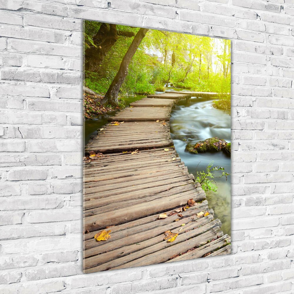 Tableau en verre Chemin dans la forêt