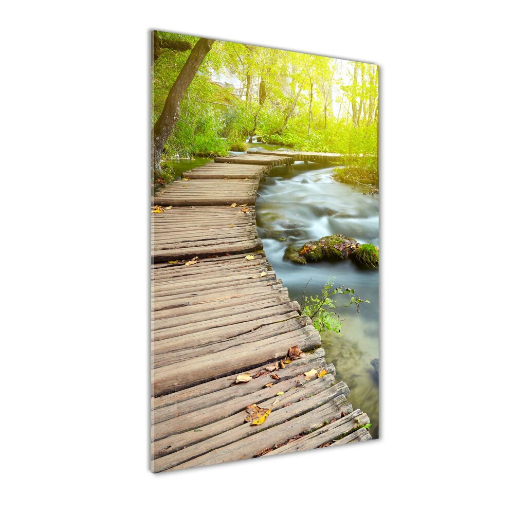 Tableau en verre Chemin dans la forêt