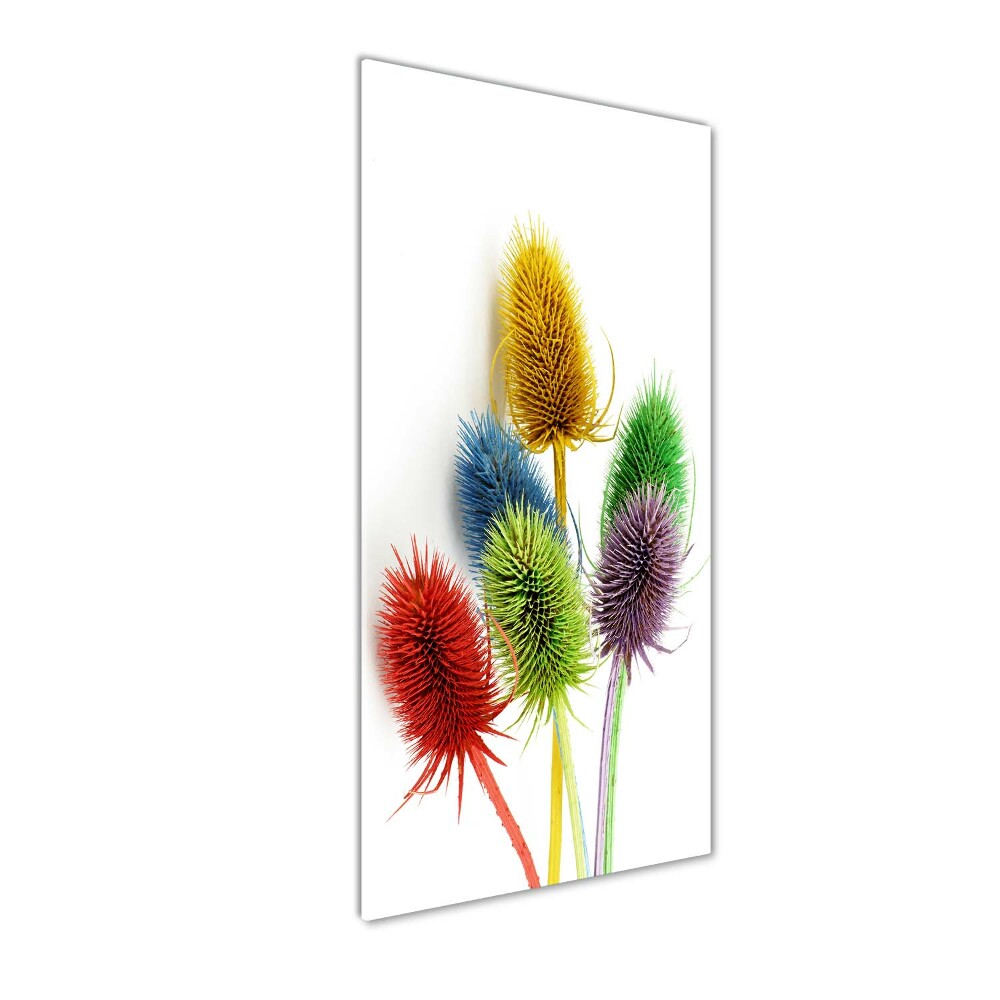 Tableau sur verre Chardon