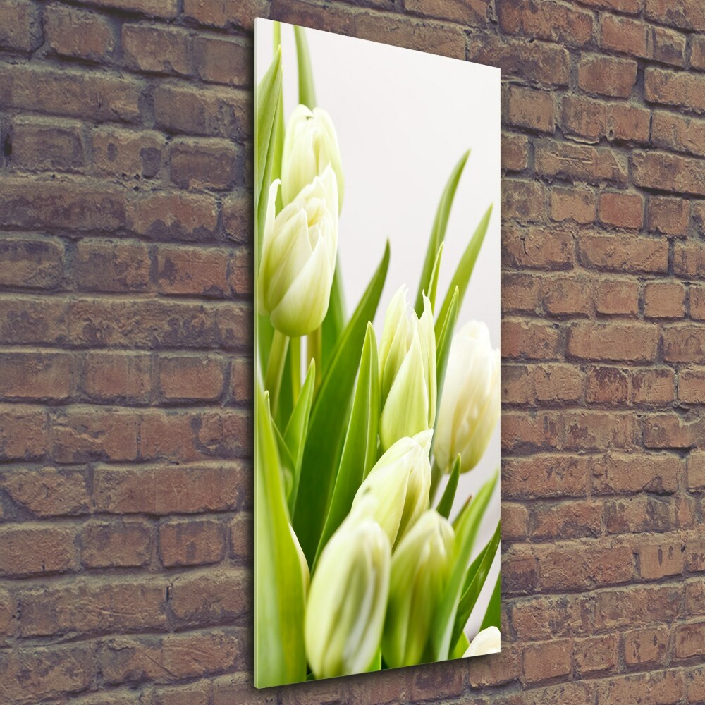 Tableau imprimé sur verre Tulipes blanches