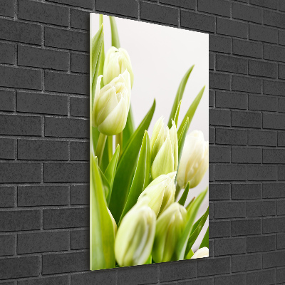 Tableau imprimé sur verre Tulipes blanches