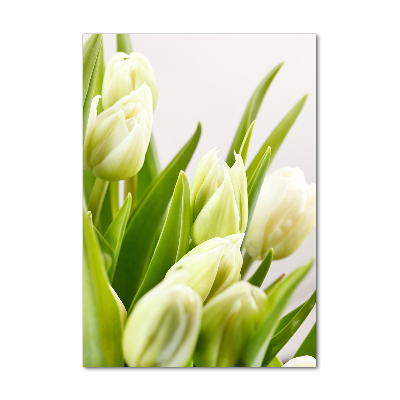 Tableau imprimé sur verre Tulipes blanches