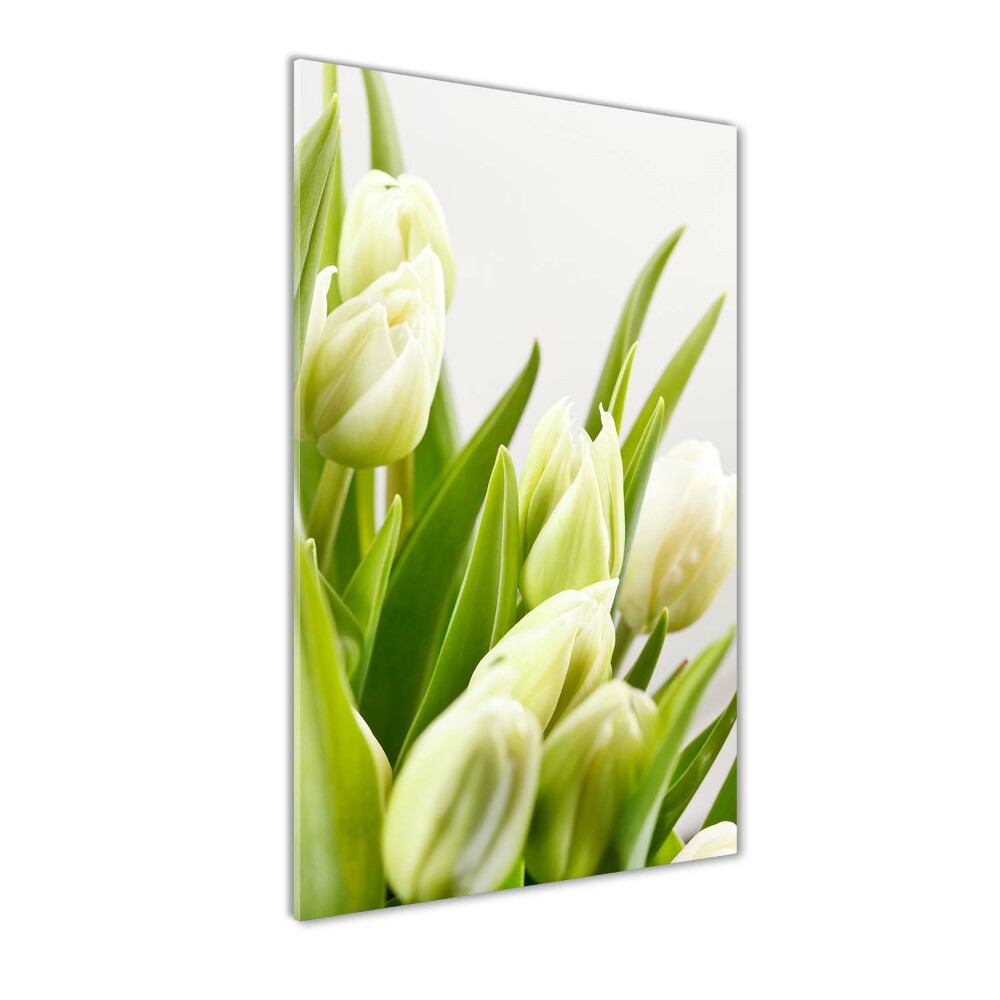 Tableau imprimé sur verre Tulipes blanches