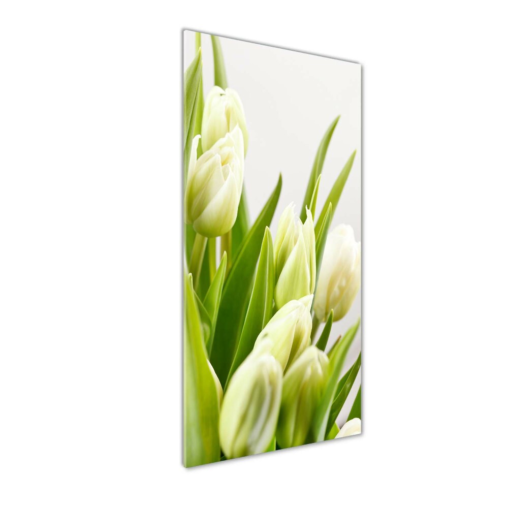 Tableau imprimé sur verre Tulipes blanches