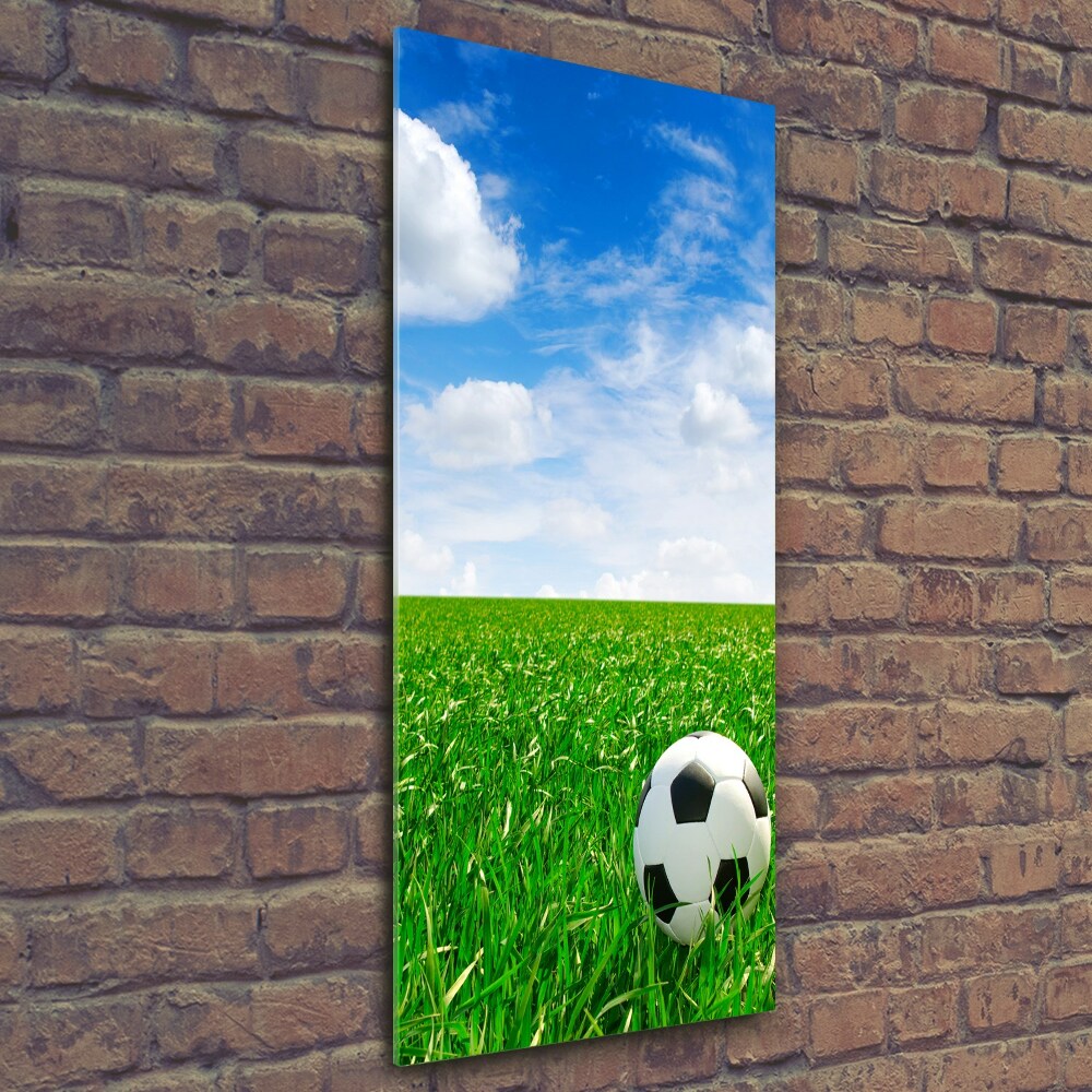 Tableau imprimé sur verre Football dans le pré