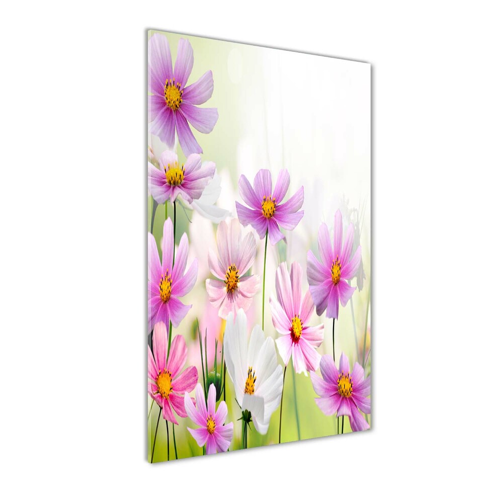 Tableau photo sur verre Fleurs des champs roses