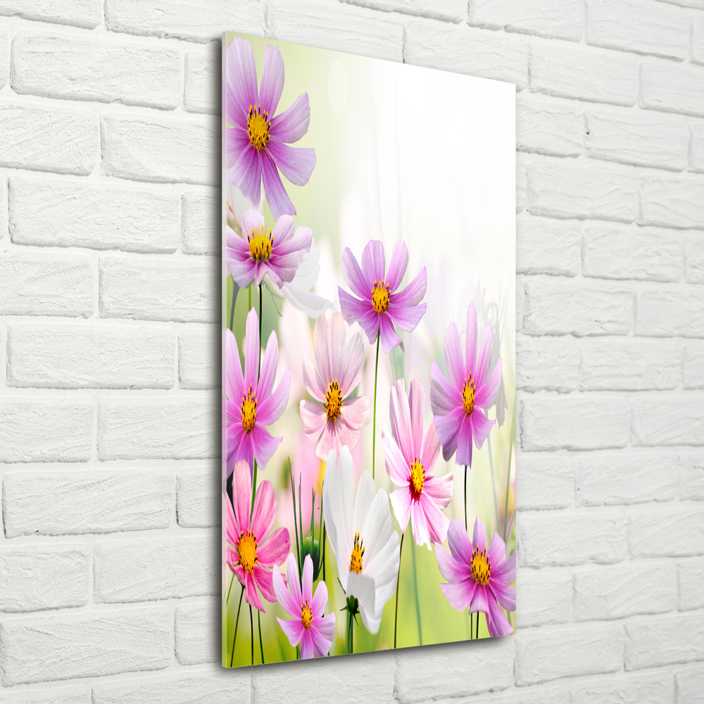 Tableau photo sur verre Fleurs des champs roses