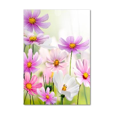 Tableau photo sur verre Fleurs des champs roses