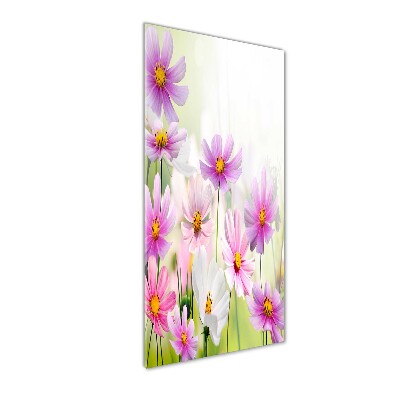 Tableau photo sur verre Fleurs des champs roses