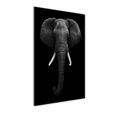 Tableau photo sur verre Éléphant d'Afrique