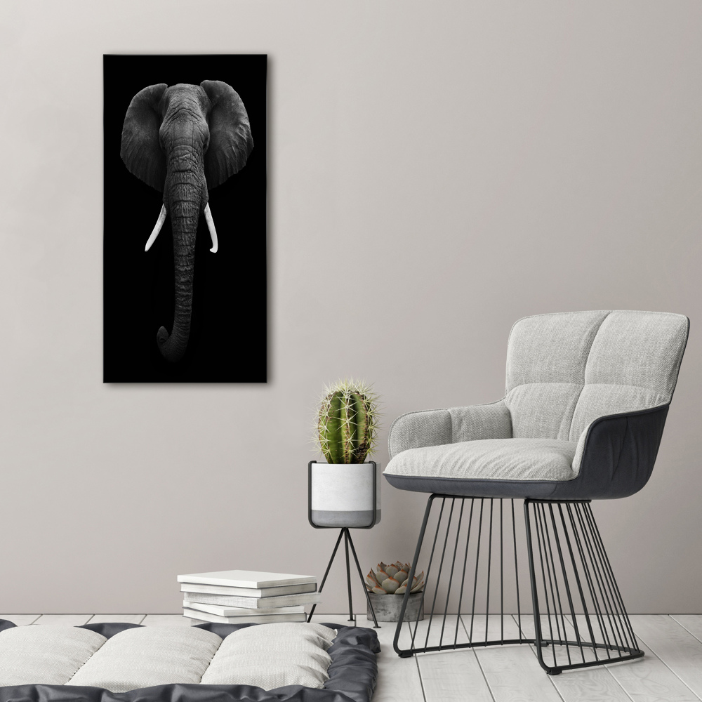 Tableau photo sur verre Éléphant d'Afrique