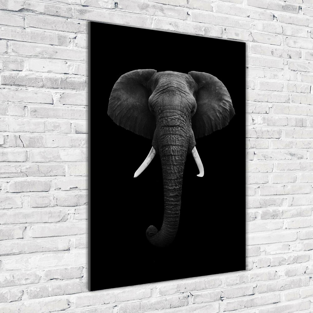 Tableau photo sur verre Éléphant d'Afrique