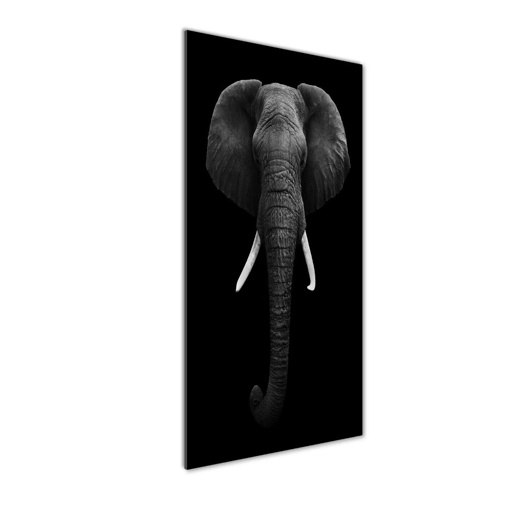 Tableau photo sur verre Éléphant d'Afrique